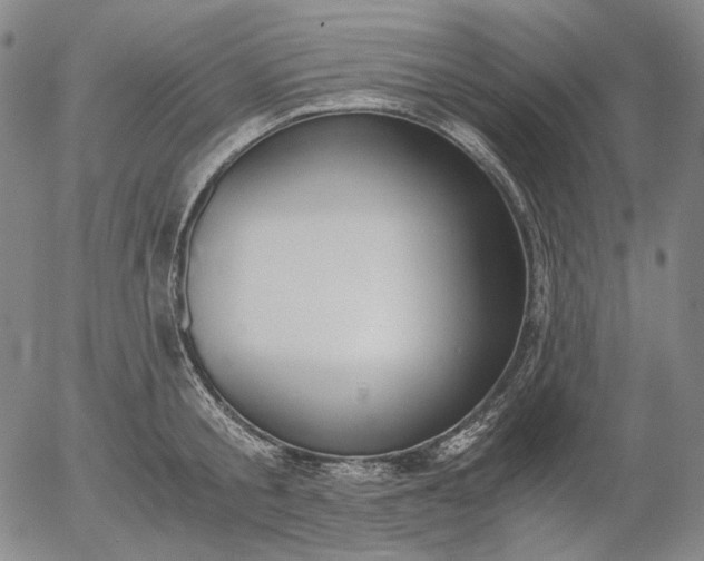 X0000056000805200509021702