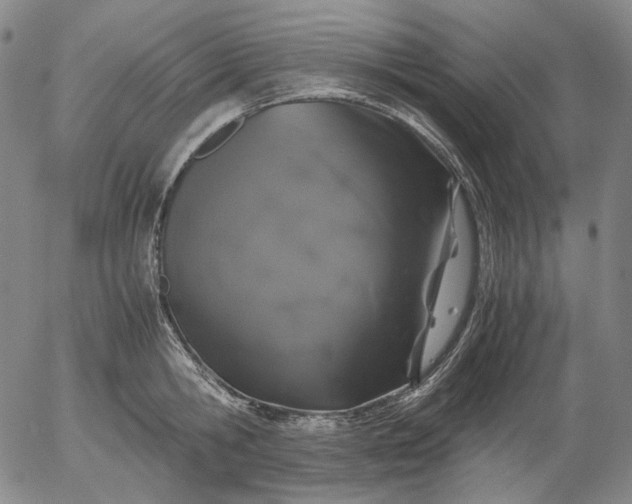 X0000056000806200509021702