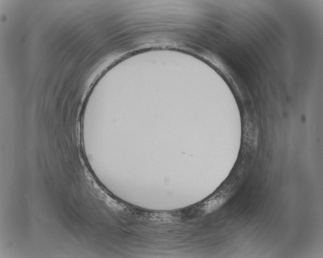 X0000056000807200509021702