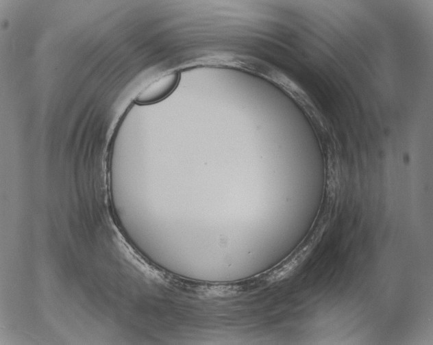 X0000056000808200509021702