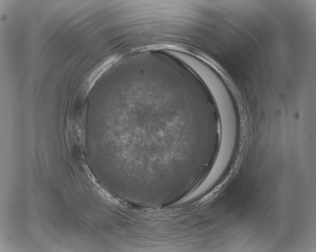 X0000056000809200509021702