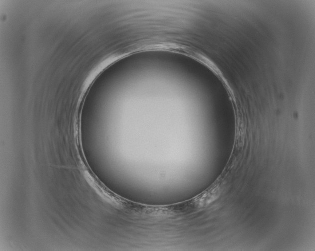 X0000056000811200509021702