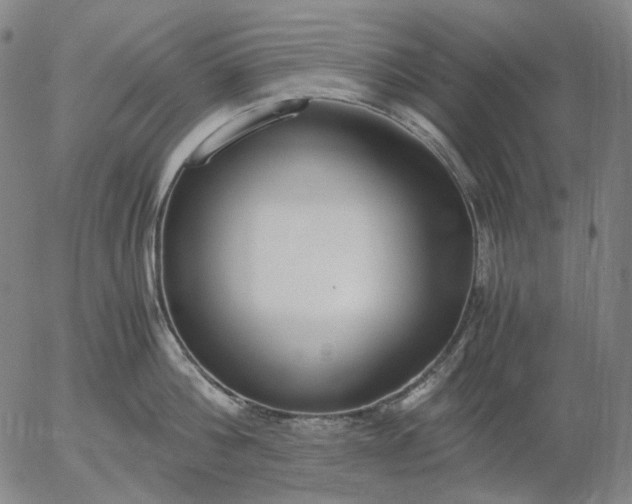 X0000056000812200509021702