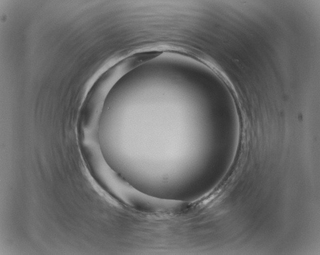 X0000056000813200509021702