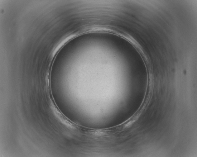 X0000056000814200509021702