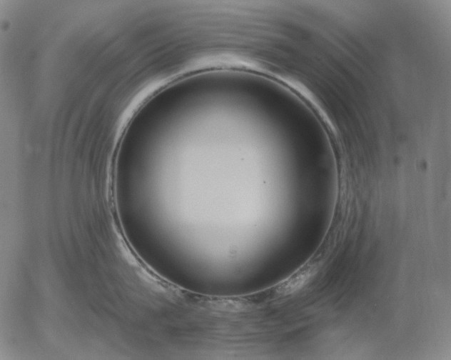 X0000056000815200509021702