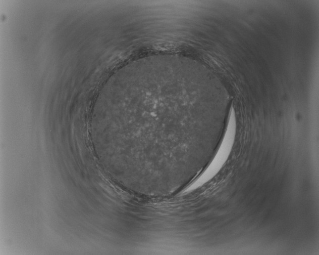 X0000056000817200509021701