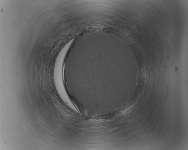 X0000056000818200509021701