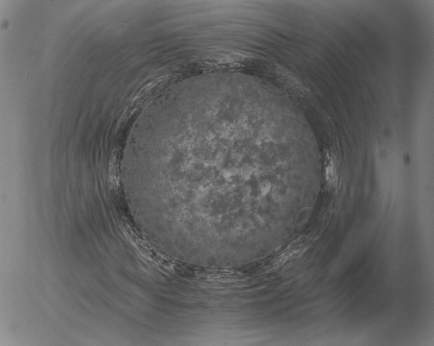 X0000056000819200509021701