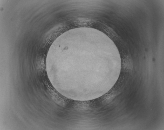 X0000056000820200509021701