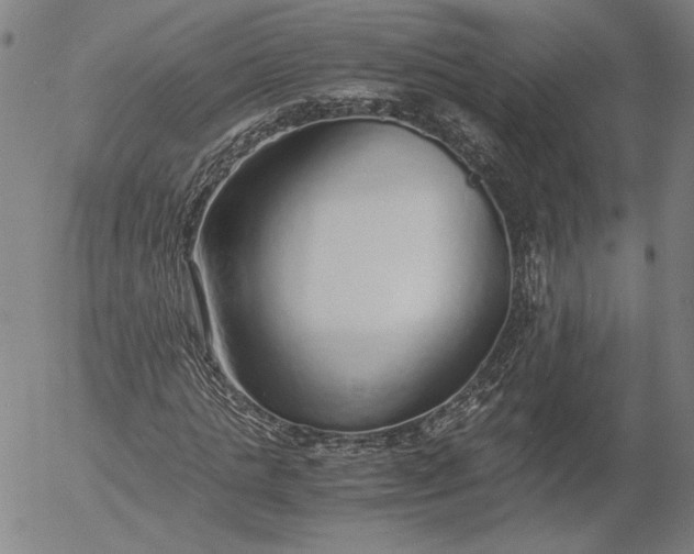 X0000056000821200509021701