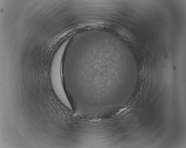 X0000056000822200509021701