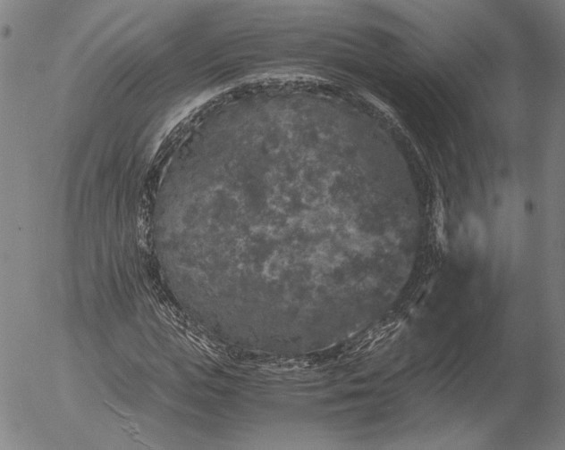 X0000056000823200509021701