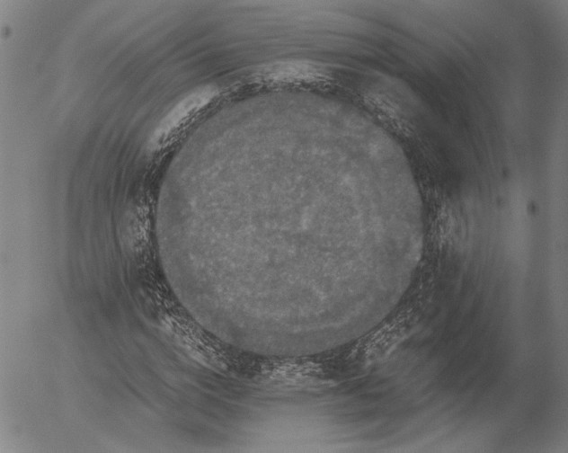 X0000056000824200509021701