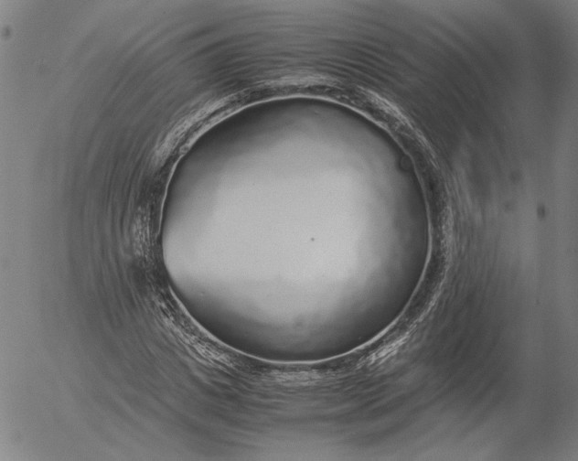 X0000056000825200509021701