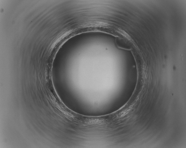 X0000056000826200509021702