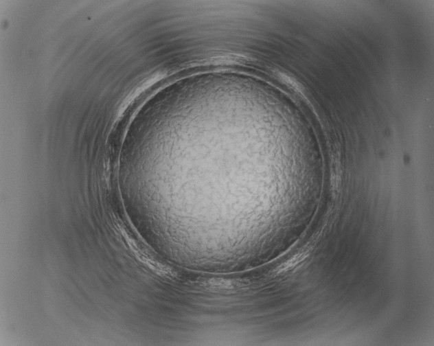 X0000056000827200509021702