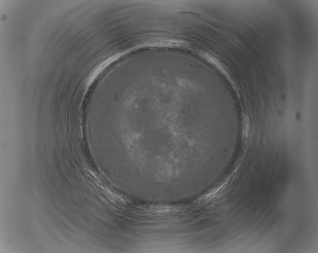 X0000056000829200509021702