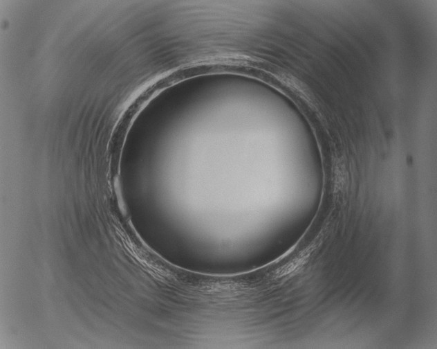 X0000056000830200509021702