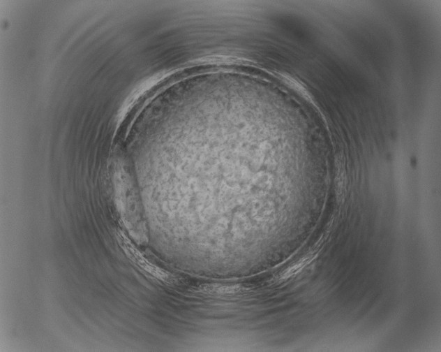 X0000056000831200509021702