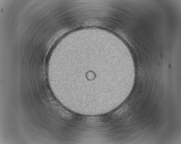 X0000056000832200509021702