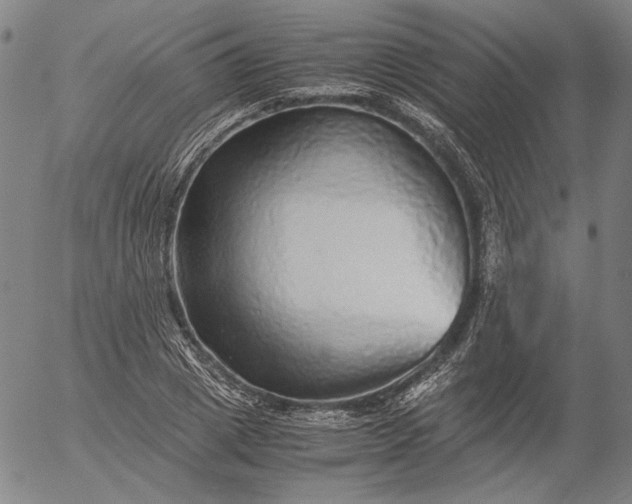 X0000056000833200509021702