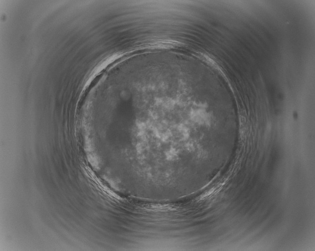 X0000056000835200509021702