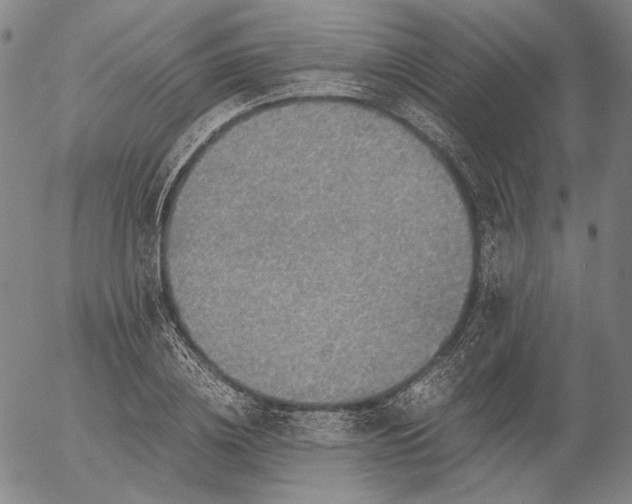 X0000056000836200509021702