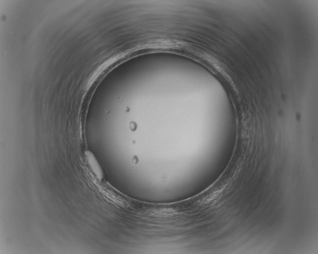 X0000056000837200509021702