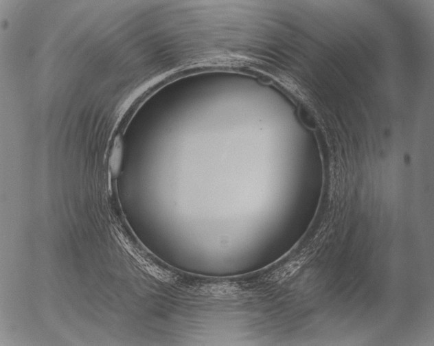 X0000056000838200509021702