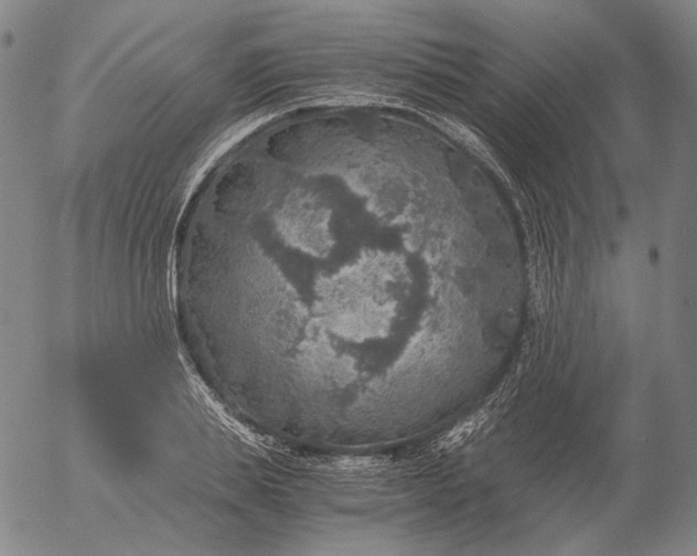 X0000056000839200509021702