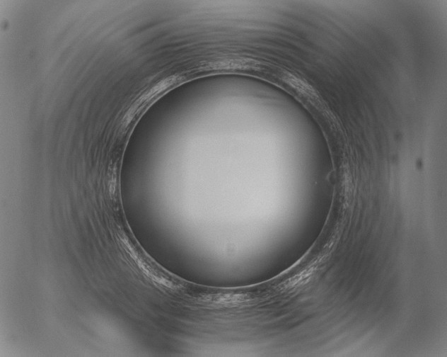 X0000056000841200509021702