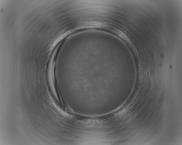 X0000056000842200509021702