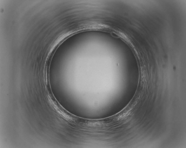 X0000056000843200509021702