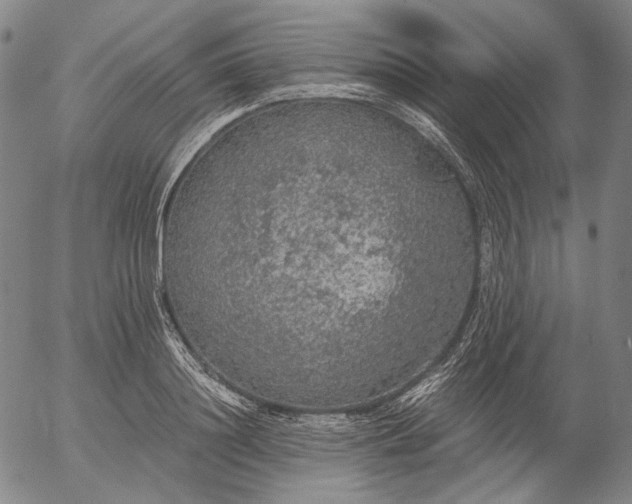 X0000056000844200509021702