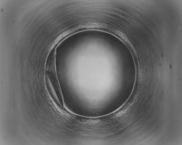 X0000056000845200509021702