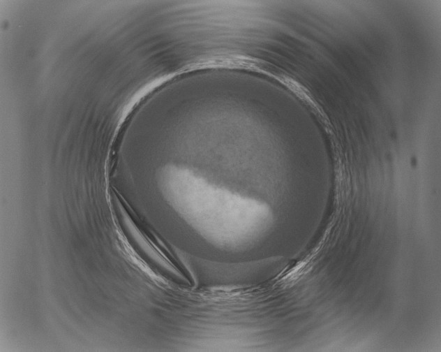 X0000056000846200509021702