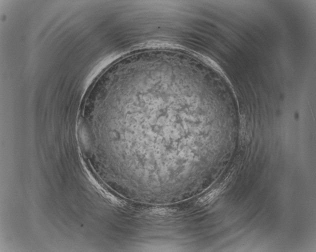 X0000056000847200509021702