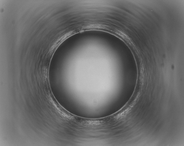 X0000056000849200509021702