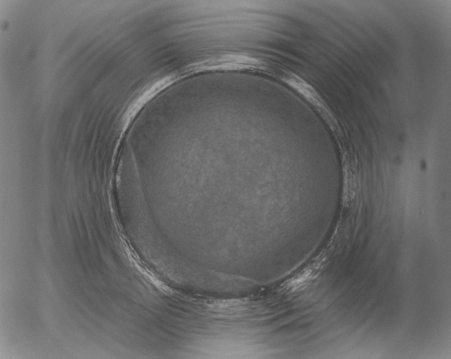 X0000056000850200509021702