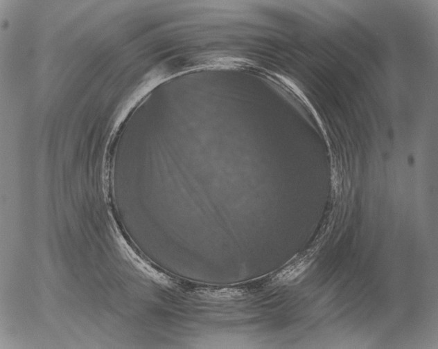 X0000056000851200509021702