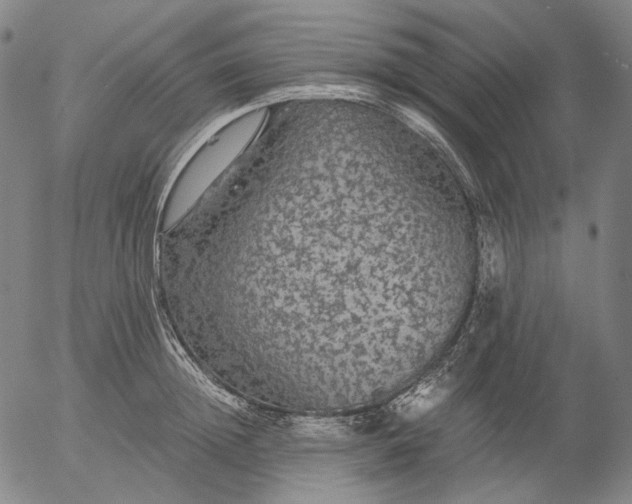 X0000056000852200509021702