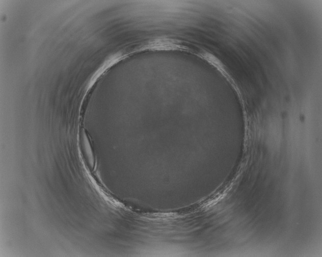 X0000056000853200509021702