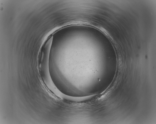 X0000056000854200509021702