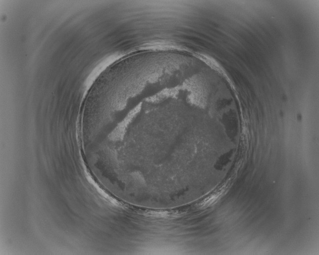 X0000056000855200509021702