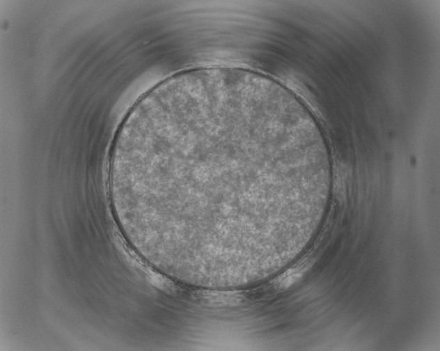 X0000056000856200509021702