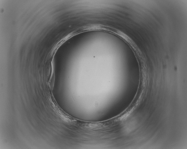 X0000056000857200509021702