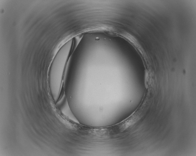 X0000056000858200509021702