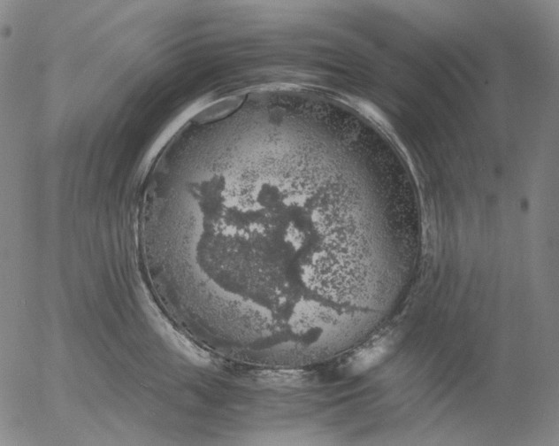 X0000056000859200509021702