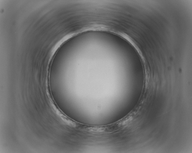 X0000056000861200509021702